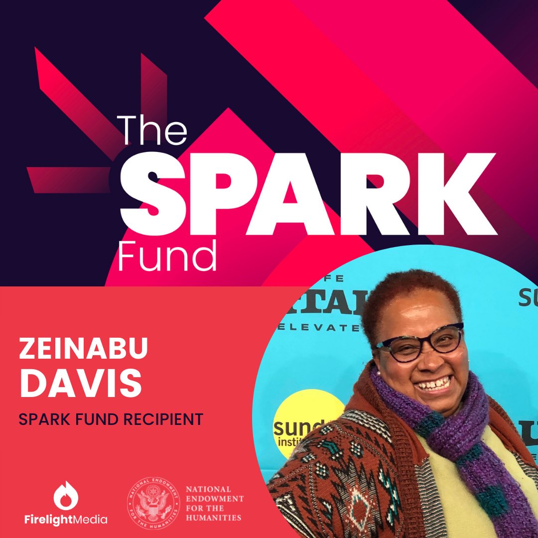 promotional graphic featuring Professor Zeinabu Davis winning the Spark Fund award